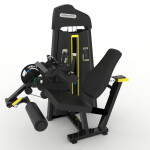 Seated Leg curl/extension