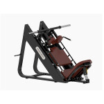 45 Degree Leg Press/Hack Slide