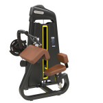 45 Degree Seated Triceps               