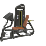Horizontal Leg Press         