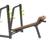 Olympic Decline Bench          