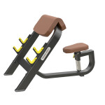 Seated Preacher Curl               