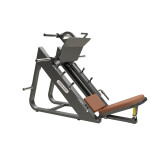 45 degree Leg Press         