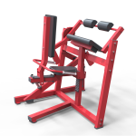 Seated Triceps Extension                         